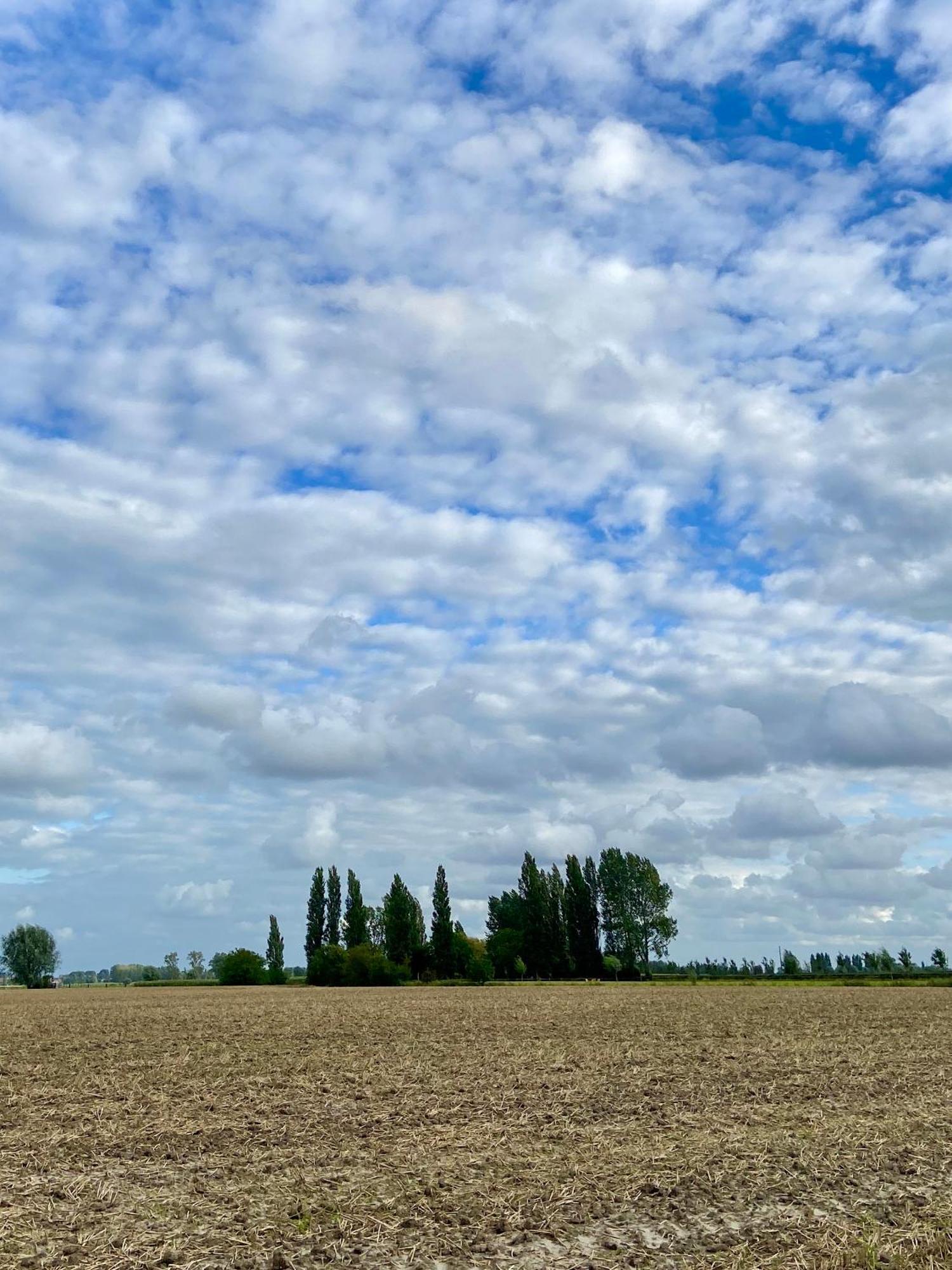 Gastenverblijf 'T Landsheertje フールネ エクステリア 写真